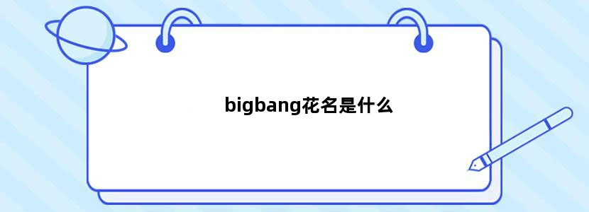 bigbang花名是什么