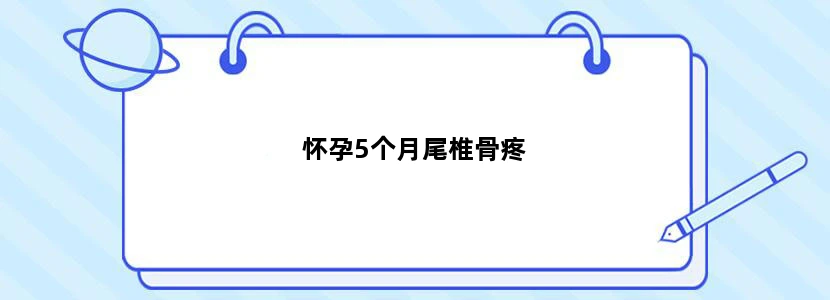 怀孕5个月尾椎骨疼
