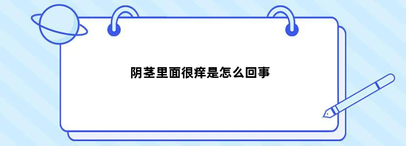 阴茎里面很痒是怎么回事