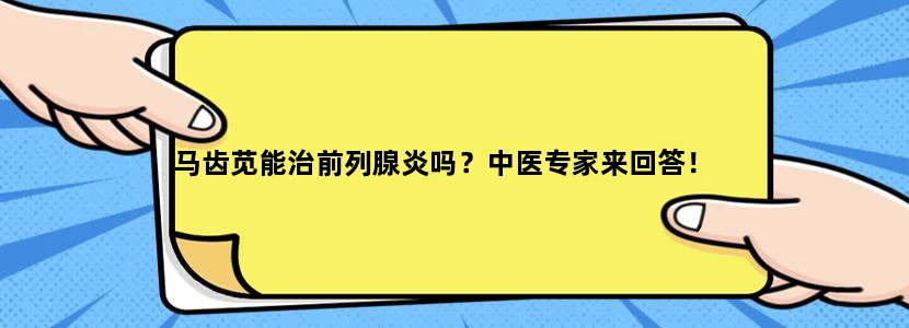 马齿苋能治前列腺炎吗？中医专家来回答！