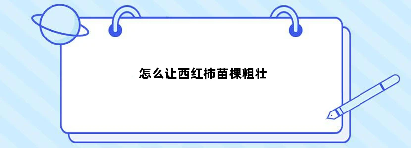 怎么让西红柿苗棵粗壮