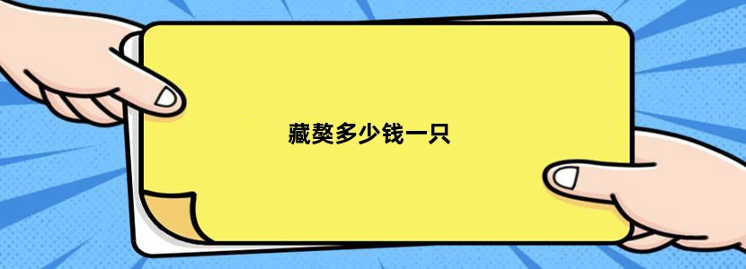 藏獒多少钱一只