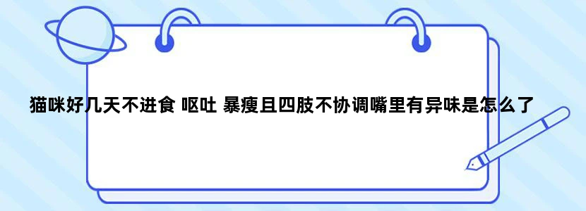 猫咪好几天不进食 呕吐 暴瘦且四肢不协调嘴里有异味是怎么了