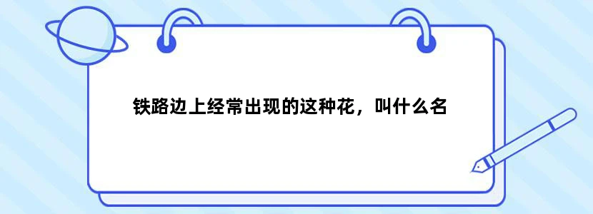 铁路边上经常出现的这种花，叫什么名