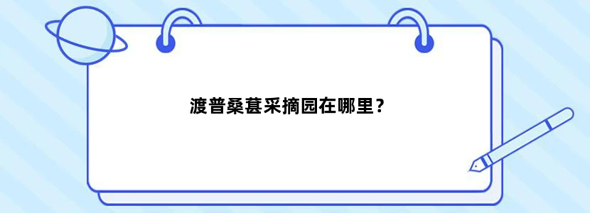 渡普桑葚采摘园在哪里？
