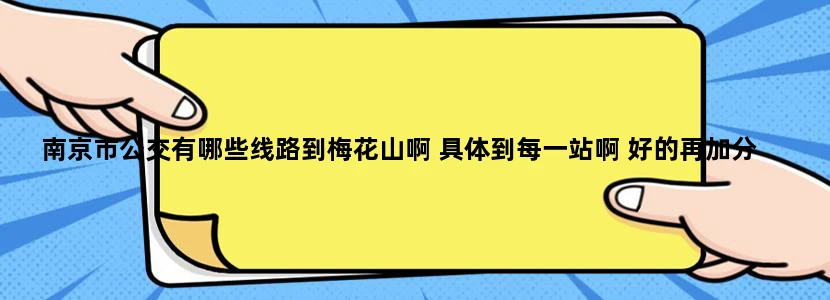 南京市公交有哪些线路到梅花山啊 具体到每一站啊 好的再加分