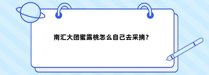 南汇大团蜜露桃怎么自己去采摘？