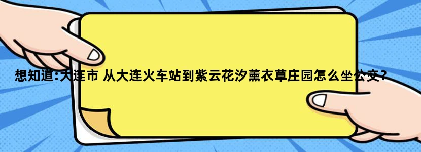 想知道:大连市 从大连火车站到紫云花汐薰衣草庄园怎么坐公交？