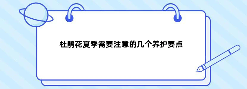杜鹃花夏季需要注意的几个养护要点