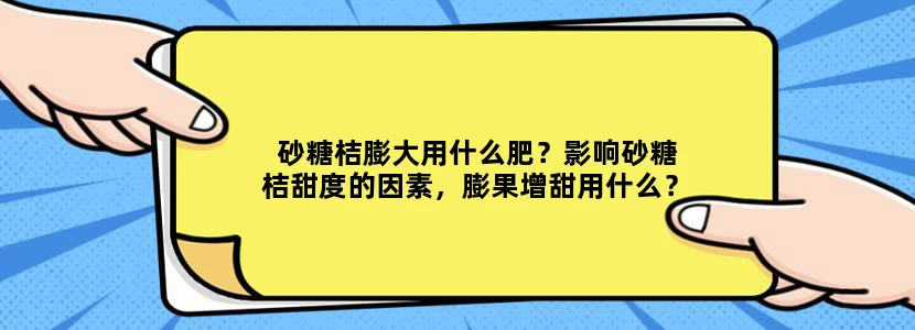 砂糖桔膨大用什么肥？影响砂糖桔甜度的因素，膨果增甜用什么？