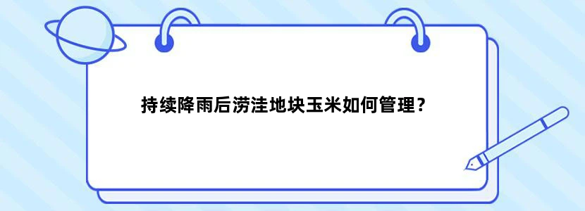 持续降雨后涝洼地块玉米如何管理？