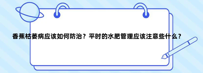 香蕉枯萎病应该如何防治？平时的水肥管理应该注意些什么？