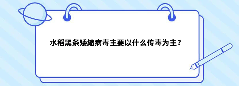 水稻黑条矮縮病毒主要以什么传毒为主？