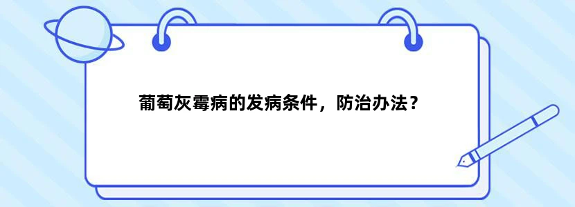 葡萄灰霉病的发病条件，防治办法？