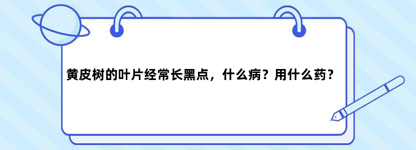 黄皮树的叶片经常长黑点，什么病？用什么药？