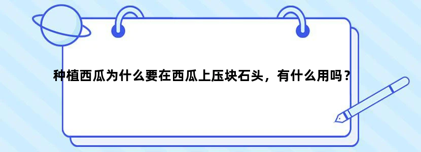 种植西瓜为什么要在西瓜上压块石头，有什么用吗？