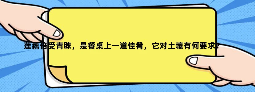 莲藕倍受青睐，是餐桌上一道佳肴，它对土壤有何要求？