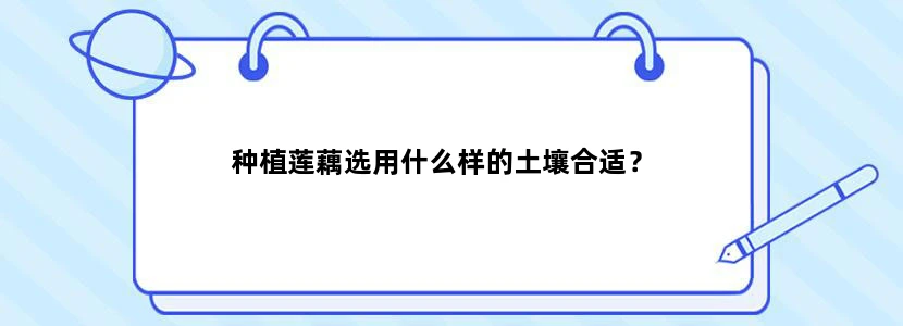 种植莲藕选用什么样的土壤合适？