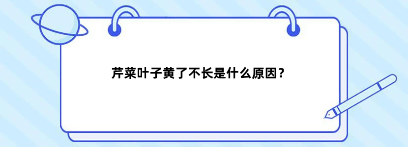 芹菜叶子黄了不长是什么原因？