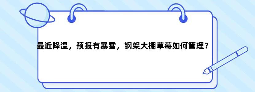 最近降温，预报有暴雪，钢架大棚草莓如何管理？