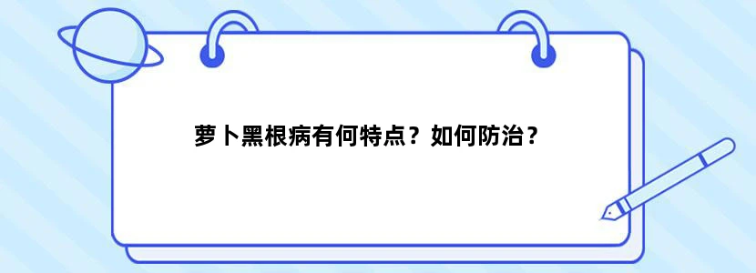 萝卜黑根病有何特点？如何防治？