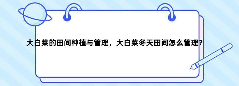 大白菜的田间种植与管理，大白菜冬天田间怎么管理？