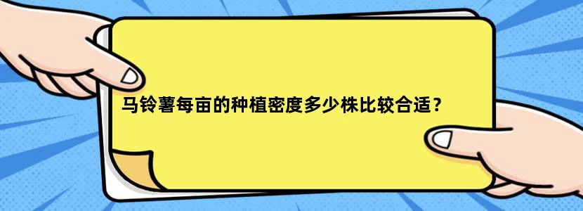 马铃薯每亩的种植密度多少株比较合适？