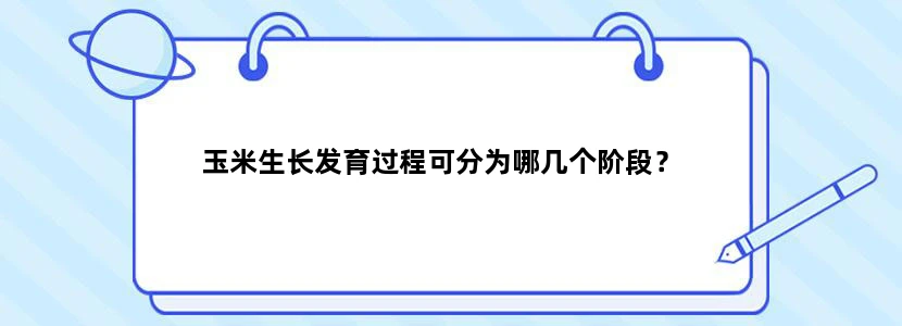 玉米生长发育过程可分为哪几个阶段？
