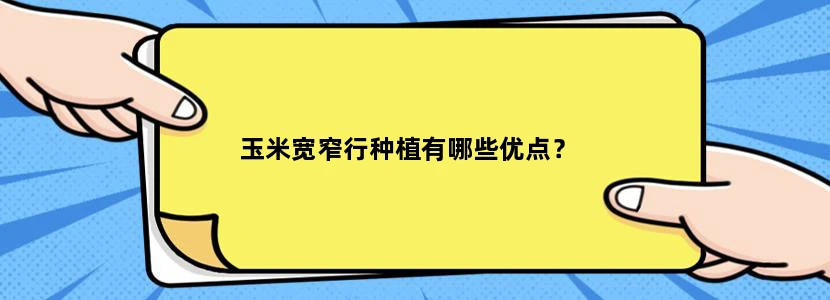 玉米宽窄行种植有哪些优点？