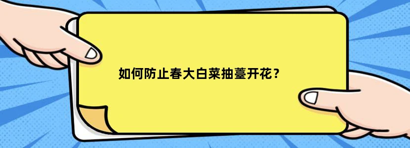 如何防止春大白菜抽薹开花？