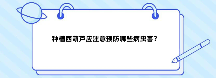 种植西葫芦应注意预防哪些病虫害？