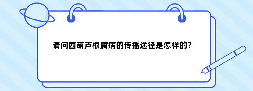 请问西葫芦根腐病的传播途径是怎样的？