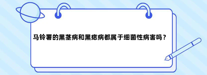 马铃薯的黑茎病和黑痣病都属于细菌性病害吗？