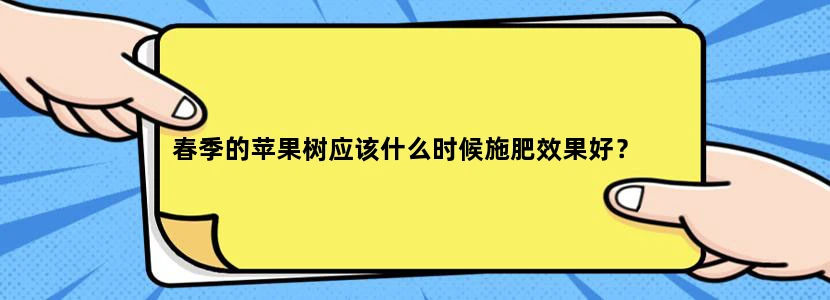 春季的苹果树应该什么时候施肥效果好？