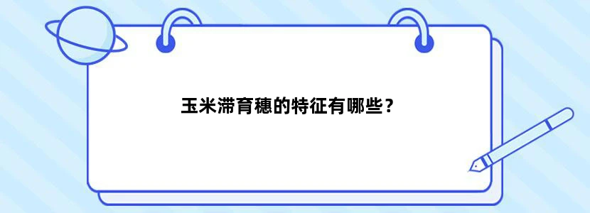 玉米滞育穗的特征有哪些？