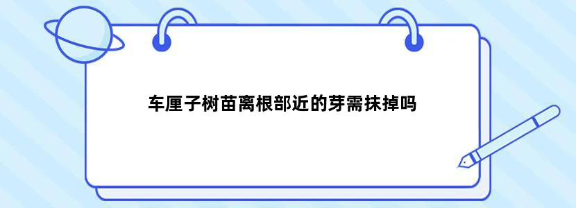 车厘子树苗离根部近的芽需抹掉吗